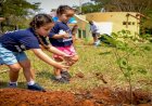 Agems realiza plantio de novas mudas no Arco dos Ipês em Campo Grande