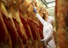 Exportação de carne bovina cresce 26% em 2022, diz Abrafrigo