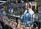 Produção industrial seguiu estável na maioria das empresas de MS em dezembro