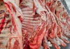 Exportações de carnes tem alta de quase 30% e MS caminha para ser multiproteína