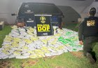 Homem é preso com mais de meia tonelada de defensivos agrícolas contrabandeados