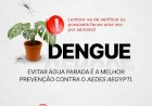 Saúde orienta sobre os cuidados com a dengue no feriado de Finados