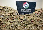 Combate ao tráfico resulta na apreensão de cerca de duas toneladas de maconha este ano em SC pela PM
