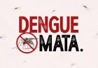Dengue em SC: estado ultrapassa 13 mil casos prováveis da doença e chega a oito óbitos
