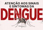 Dengue em SC: estado ultrapassa 17 mil casos prováveis da doença