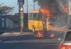Ônibus amarelinho é alvo de incêndio criminoso em Florianópolis