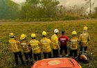 Queimadas no Pantanal: bombeiros de Santa Catarina intensificam combate às chamas no Mato Grosso do Sul