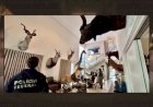 Investigação de lavagem de dinheiro revela coleção de animais exóticos ilegais em mansão