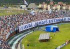 Soco-inglês e rojão: membros de torcida do Avaí são banidos de jogos do time após brigas