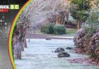 SERRA GAÚCHA REGISTRA GEADA E TEMPERATURAS PRÓXIMAS DE 0°C NA 1ª SEGUNDA DE 2026
