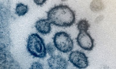 Covid: o que se sabe sobre a variante BA.2.75, que pode ser mais transmissível que a Ômicron