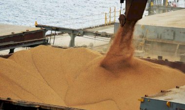 Exportação de soja deve ser 20% superior em 2023