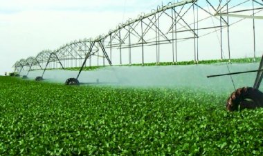 Em 37 anos, áreas de culturas irrigadas cresceram 3,8 vezes