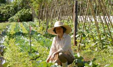 Projeto prioriza compra de alimentos da agricultura familiar pelo SUS