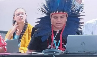 'Indígenas são 5? população mundial', diz acadêmico na Cop27