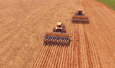 Semeadura de soja se aproxima do fim em MS