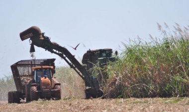 Setor sucroenergético exportou US$ 312 milhões entre janeiro e outubro de 2022