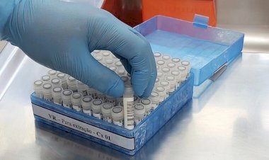 SES contabiliza 109 mortes por Síndrome Respiratória em 2 semanas  