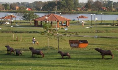 PL permite entrada de animais de estimação em parques públicos de Dourados