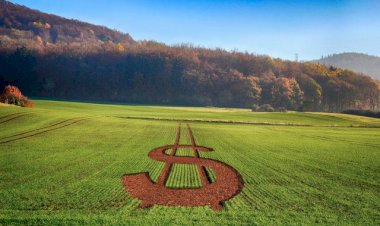 Avança projeto sobre alocação da subvenção ao Prêmio do Seguro Rural