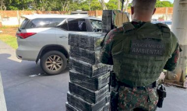 PMA apreende mais de 1 tonelada de maconha