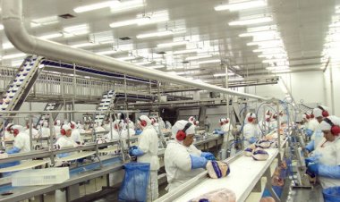 Senado aprova projeto que permite autocontrole no agronegócio