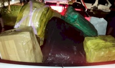 Polícia apreende mais de 1t de maconha em casa onde assaltantes foram mortos