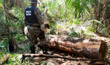 PMA Ambiental autua 1.038 infratores e aplica R$ 23,6 milhões em multas em 2022