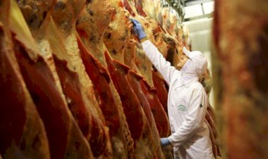 Exportação de carne bovina cresce 26% em 2022, diz Abrafrigo