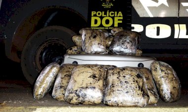 DOF prende paraguaia com carga de maconha avaliada em R$ 21 mil