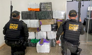Polícia apreende 408 quilos de maconha avaliados em R$ 800 mil em oficina