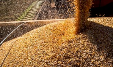VBP do agro chega a R$ 1,32 trilhão em 2022