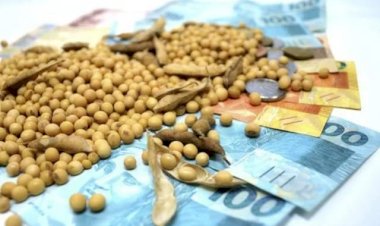 Produtos do agro brasileiro valorizam 19% no exterior