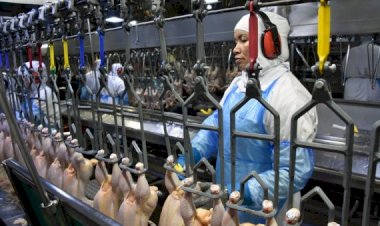 Produção industrial seguiu estável na maioria das empresas de MS em dezembro