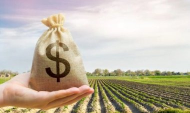 BNDES reabre linhas e anuncia mais crédito rural para safra 22/23