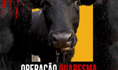 Operação Quaresma contra os maus-tratos de animais começa em Santa Catarina