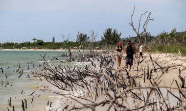 Derretimento de calotas de gelo acende antigo alerta para costa de SC; entenda