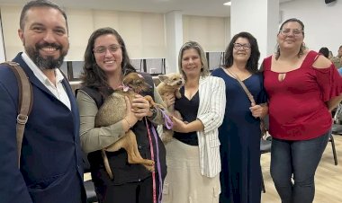 Topázio Neto torna lei a proibição de fogos de artifício com ruídos em Florianópolis