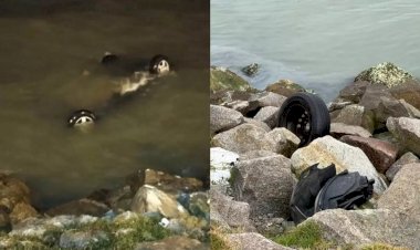 Carro no mar, filas intensas e mais: trânsito amanhece agitado na Grande Florianópolis