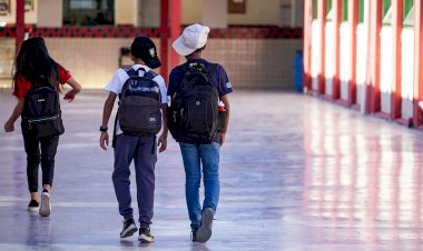 Votação dos Planos de Gestão Escolares começa neste domingo nas escolas estaduais de SC