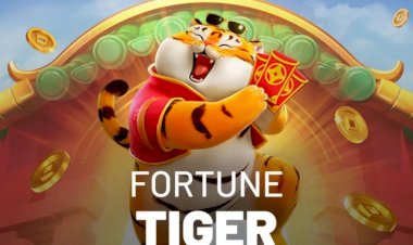 Jogo do Tigrinho é confiável? Influenciador milionário ‘cai do cavalo’ e é investigado pela PM