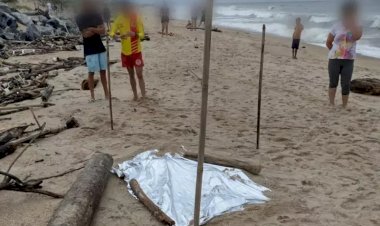 Assustador: cadáver com cabeça e membros decepados surge em praia de SC e apavora moradores