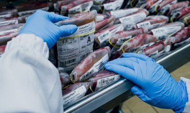 Hemosc encerra 2023 com aumento de 4,1 % nas doações de sangue