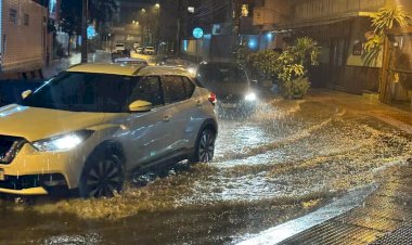 Quedas de árvores e alagamentos: forte chuva causa estragos no Sul de SC