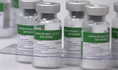 Quais são as 13 cidades de Santa Catarina que vão receber vacina contra a dengue?