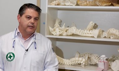 Impressões 3D aumentam segurança e diminuem custos das cirurgias no Hospital Infantil Joana de Gusmão