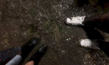 MPSC abre inquérito para investigar falta de segurança e alvarás em shows e festivais