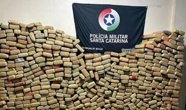 Combate ao tráfico resulta na apreensão de cerca de duas toneladas de maconha este ano em SC pela PM