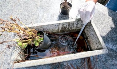 Onda de dengue: Joinville tem mais mortes que todo o Estado do RJ