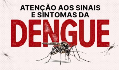 Dengue em SC: estado ultrapassa 17 mil casos prováveis da doença